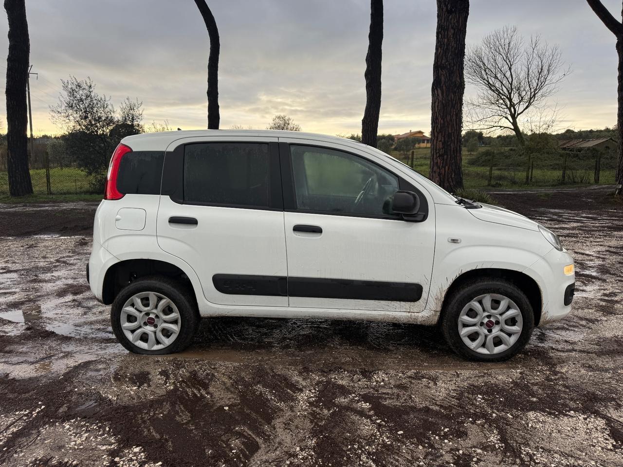 FIAT Panda 0.9 TwinAir 4x4 Pop Van 2 posti !!!
