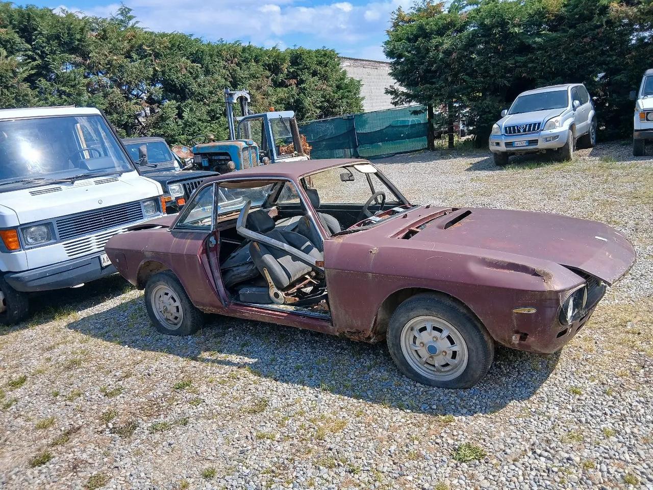 fulvia