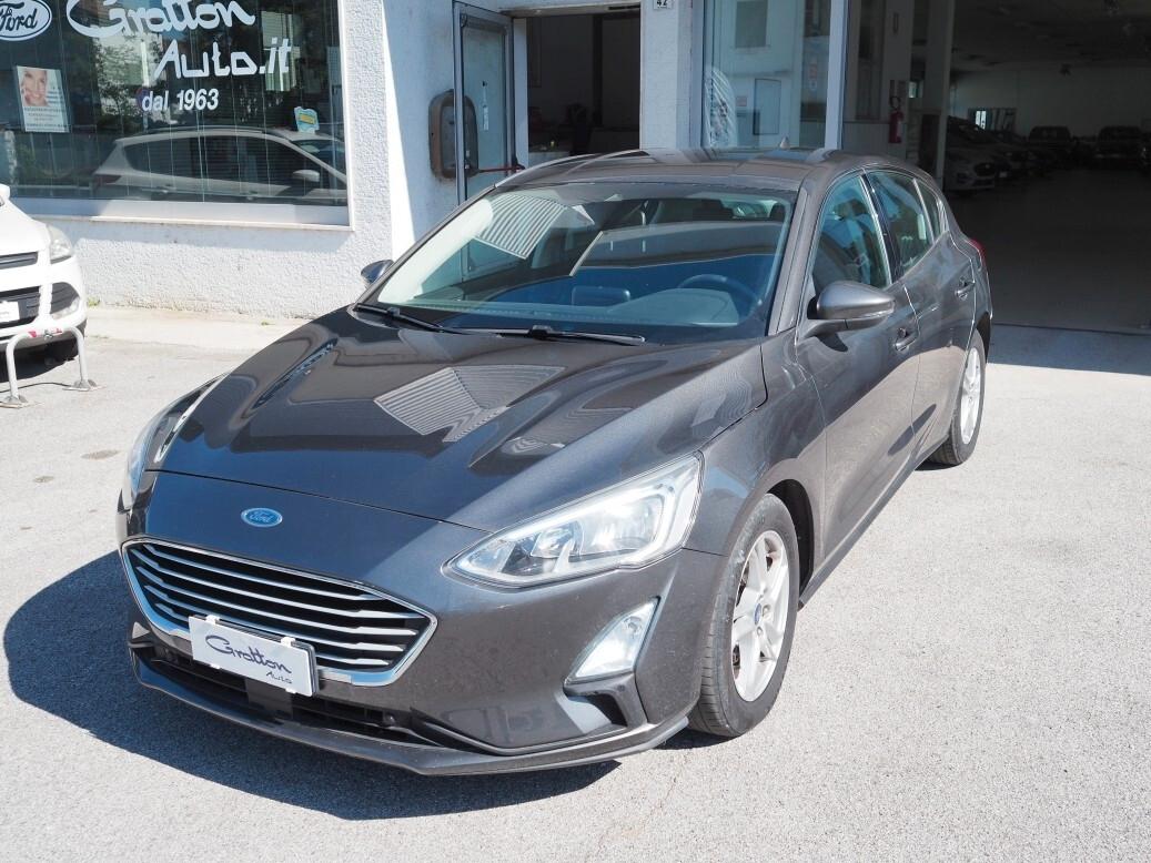 Ford Focus 1.5 EcoBlue 95 CV 5porte del 2018
