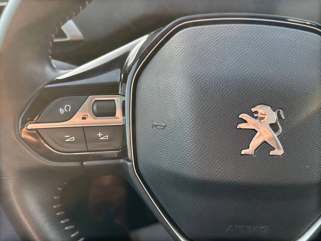 Peugeot 3008 1.5 bluehdi Active 130cv con Telecamera e CarPlay