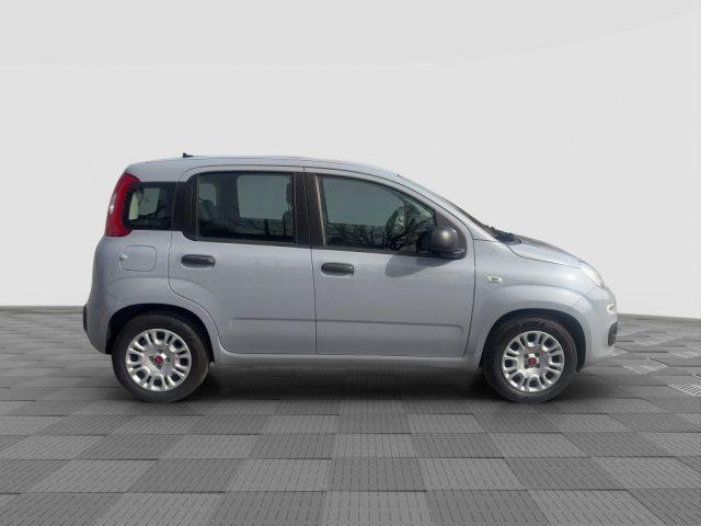 FIAT Panda Panda 1.0 FireFly Hybrid