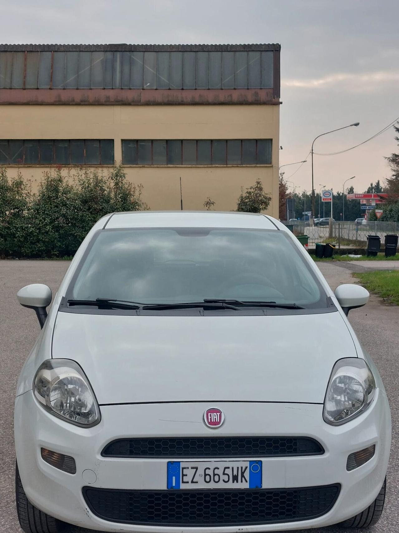 Fiat Punto 1.4 8V 5 porte Natural Power Lounge