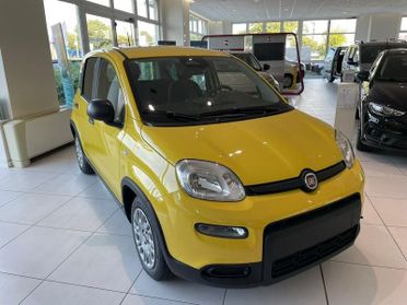 FIAT Panda 1.0 FireFly S&S Hybrid PRONTA CONSEGNA