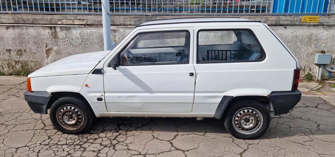 Fiat Panda 900 i.e. cat Young