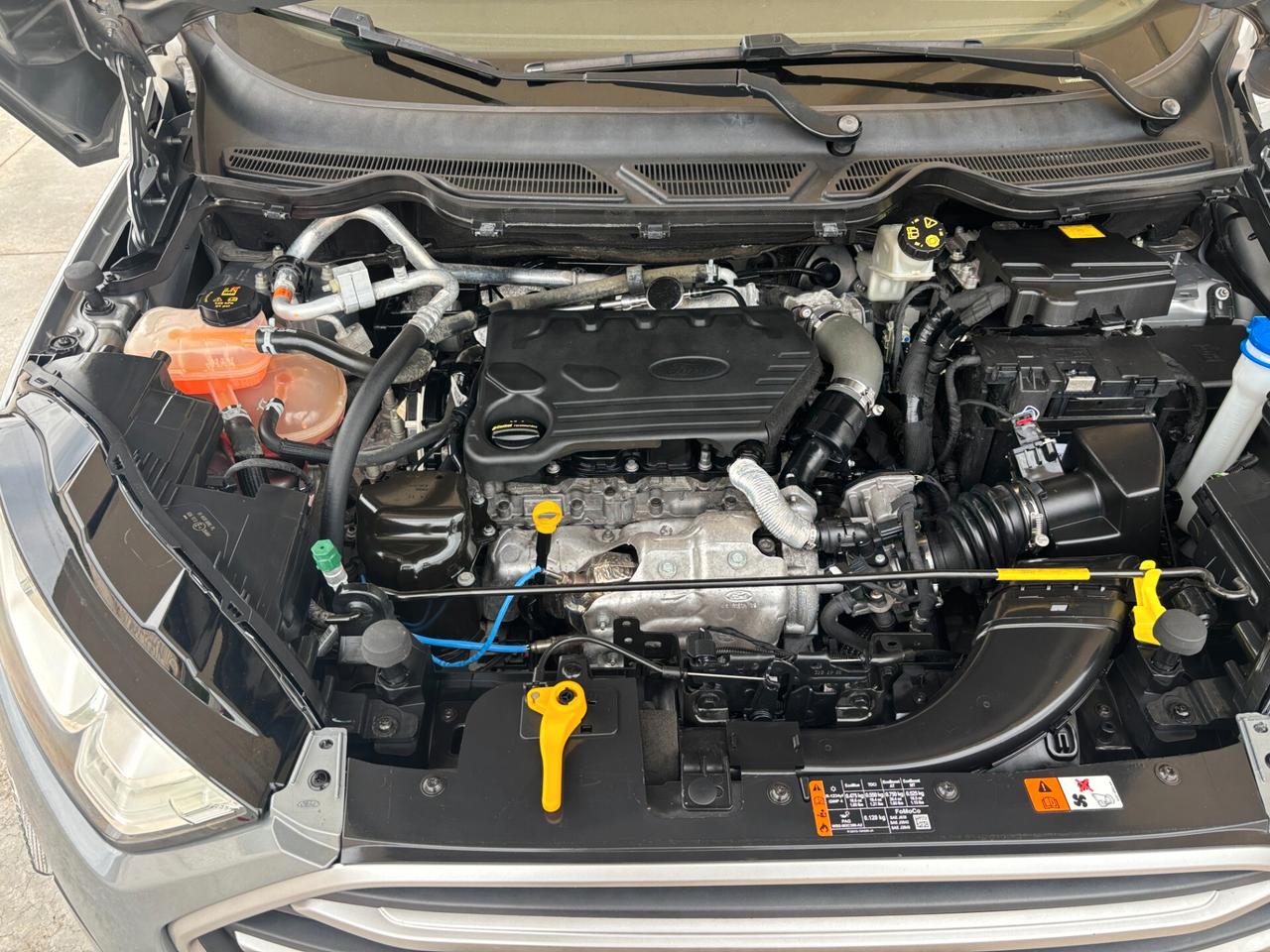 Ford EcoSport 1.5 Ecoblue 95 CV Plus - 2020