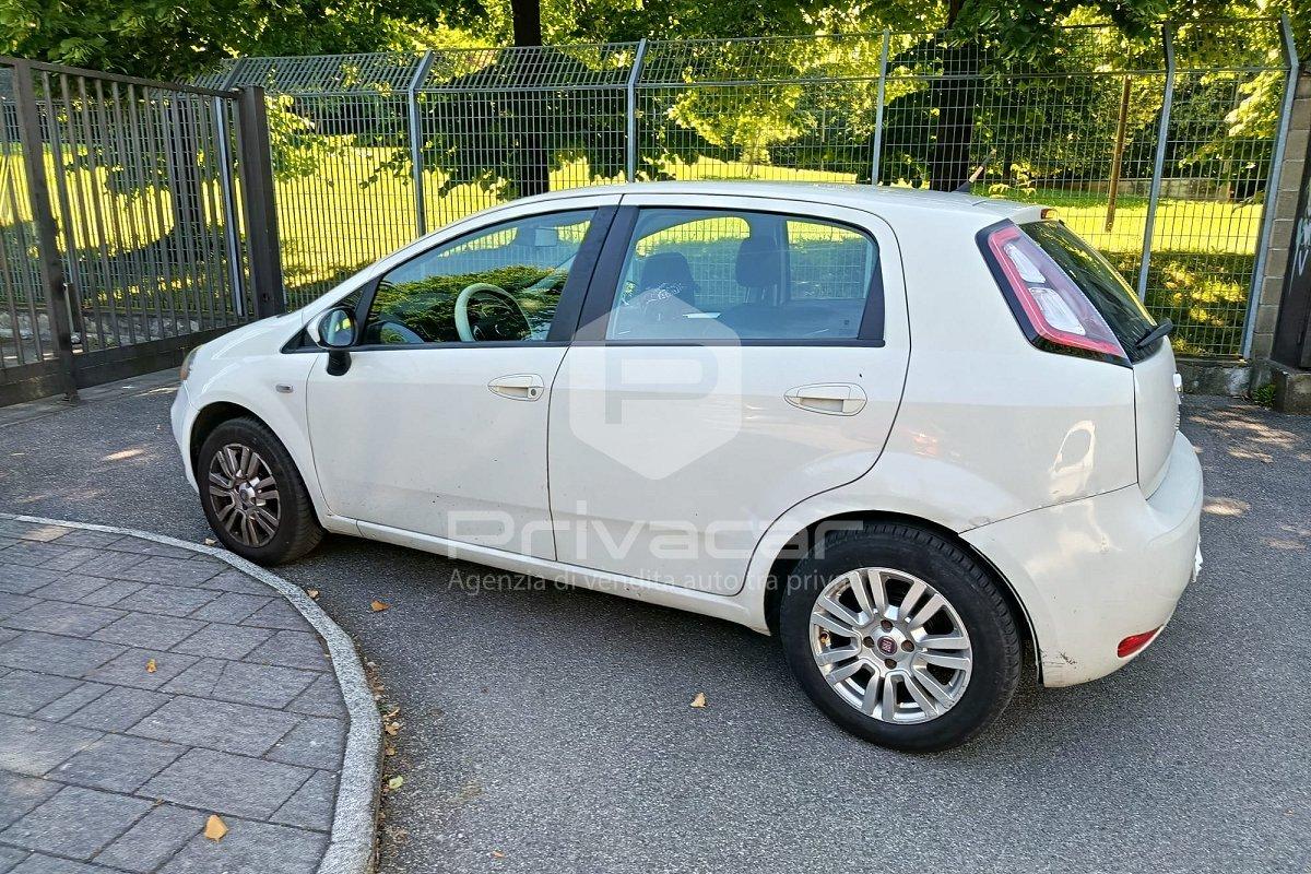 FIAT Punto 1.2 8V 5 porte Easy