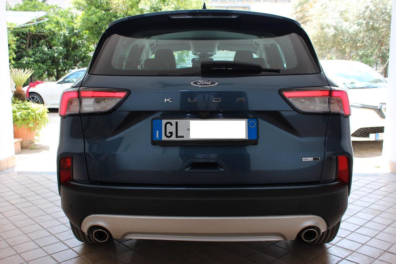 Ford Kuga 2.0 EcoBlue Hybrid 150 CV 2WD Titanium Business