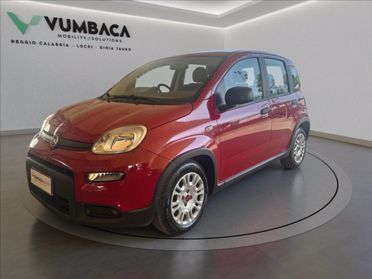 FIAT Pandina 1.0 firefly hybrid Icon s&s 70cv del 2024