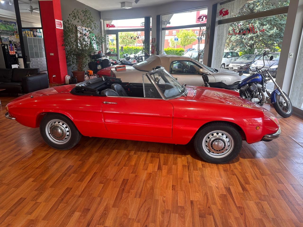 Alfa Romeo Spider Duetto Osso di seppia