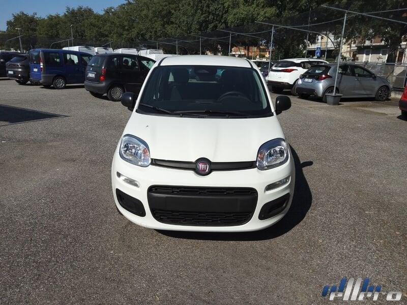 FIAT Panda MY25 1.0 70cv Hybrid