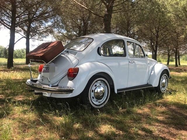 Volkswagen Maggiolino Maggiolone