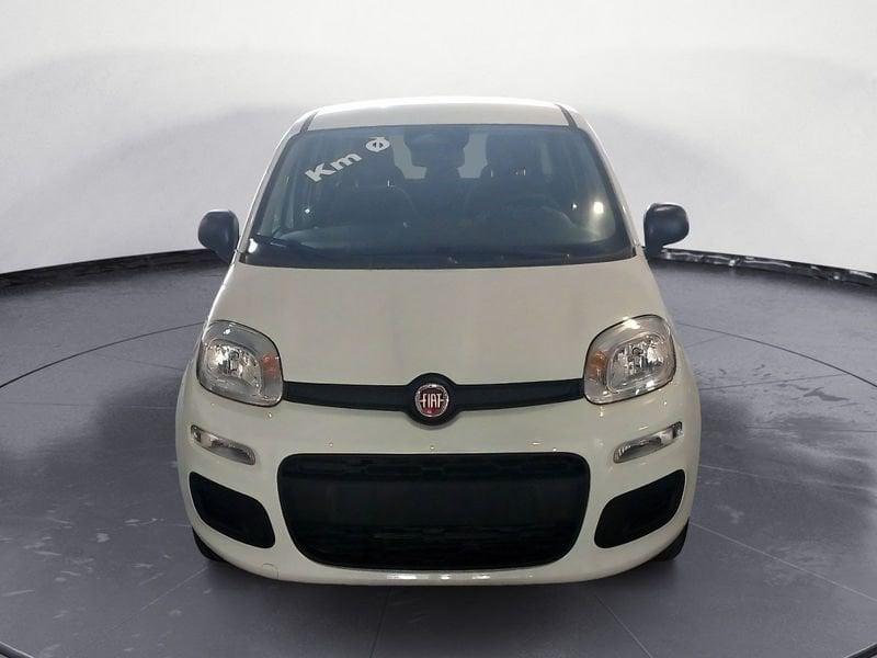 FIAT Panda NEW My25 1.0 70cv Hybrid Panda