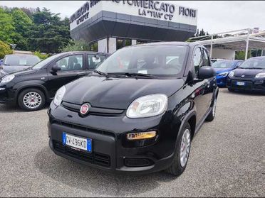 FIAT Panda 1.0 firefly hybrid s&s 70cv