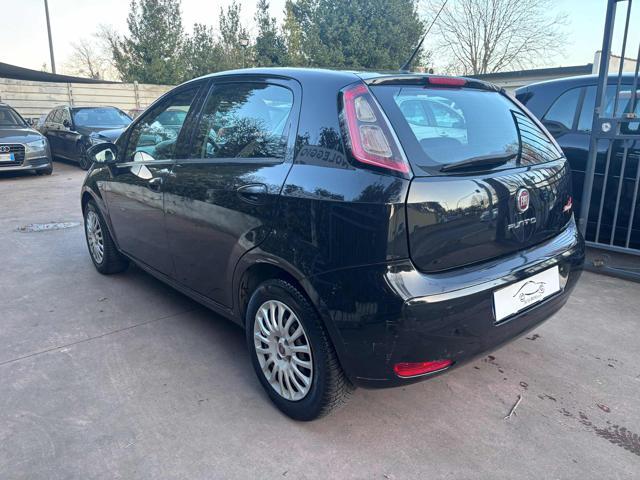 FIAT Punto 1.2 8V 5 porte Street