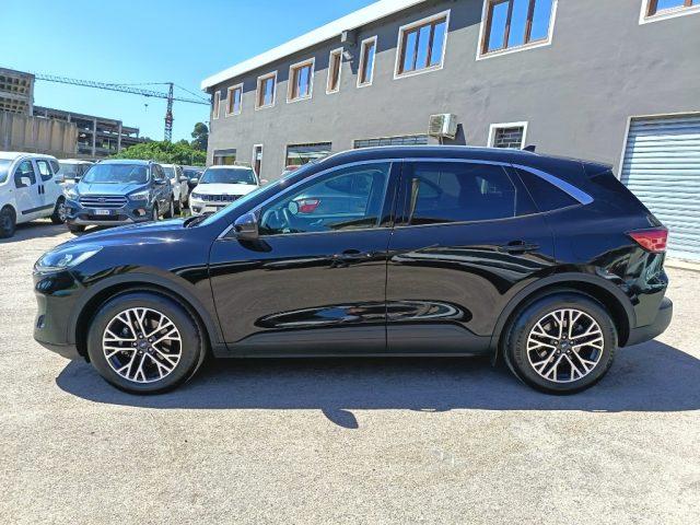 FORD Kuga 2.0 EcoBlue Hybrid 150 CV 2WD Titanium Business