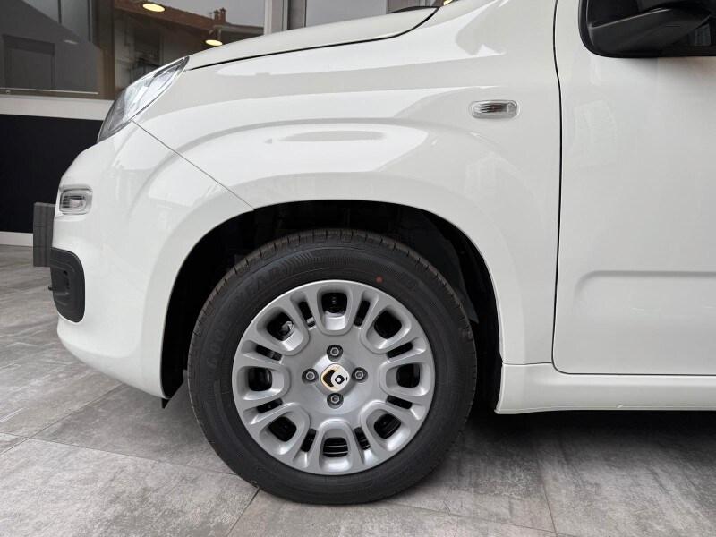 FIAT Panda 3ª serie Panda 1.0 FireFly S&S Hybrid