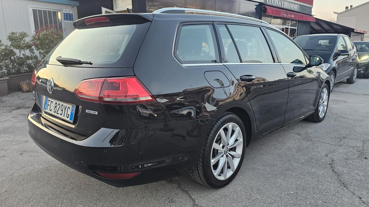 Volkswagen Golf Variant 1.6 TDI 110 CV Executive BlueMotion Technology