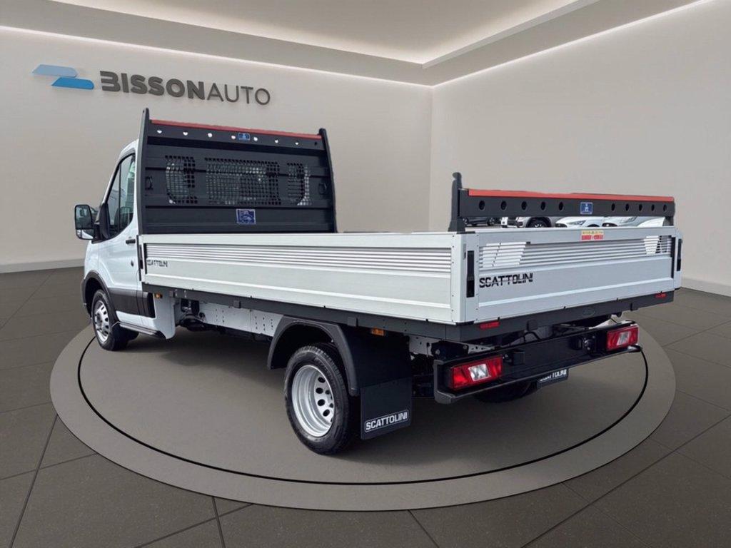 FORD Transit 350 tr.post. 2.0 tdci 130cv trend L3 Scattolini cassone fisso r.gem. del 2025