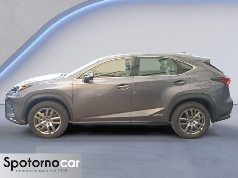 Lexus NX Hybrid 4WD Premium