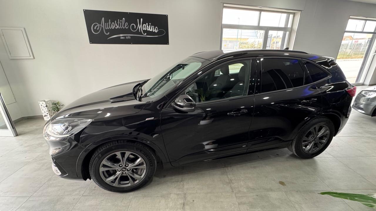 Ford Kuga 1.5 EcoBlue 120 CV 2WD ST-Line-2022