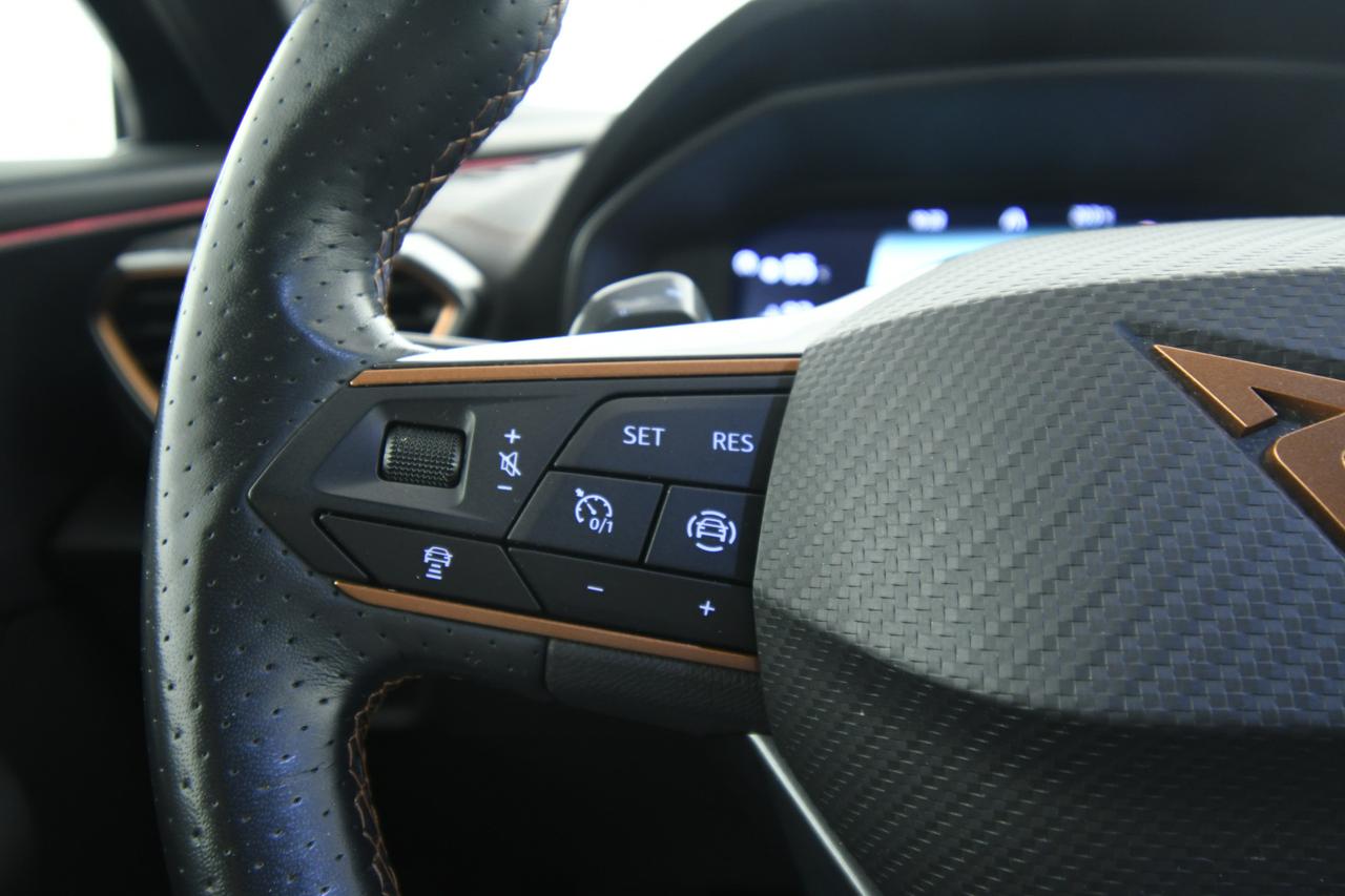 Cupra Formentor 2.0 tdi 4drive 150cv dsg CAMERA+ACC+APP CONNECT+PELLE