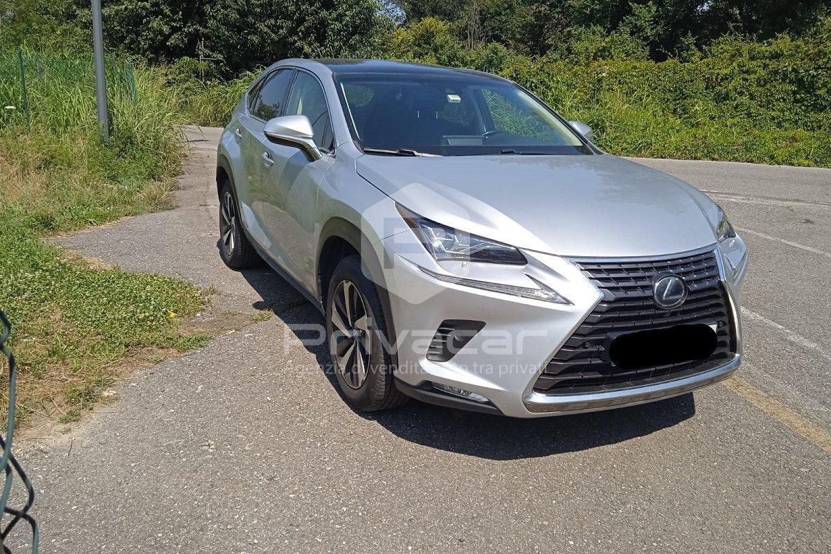 LEXUS NX Hybrid 4WD Luxury