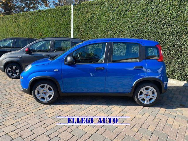 FIAT Panda PROMO FINANZ.1.0 HYBRID KM 0