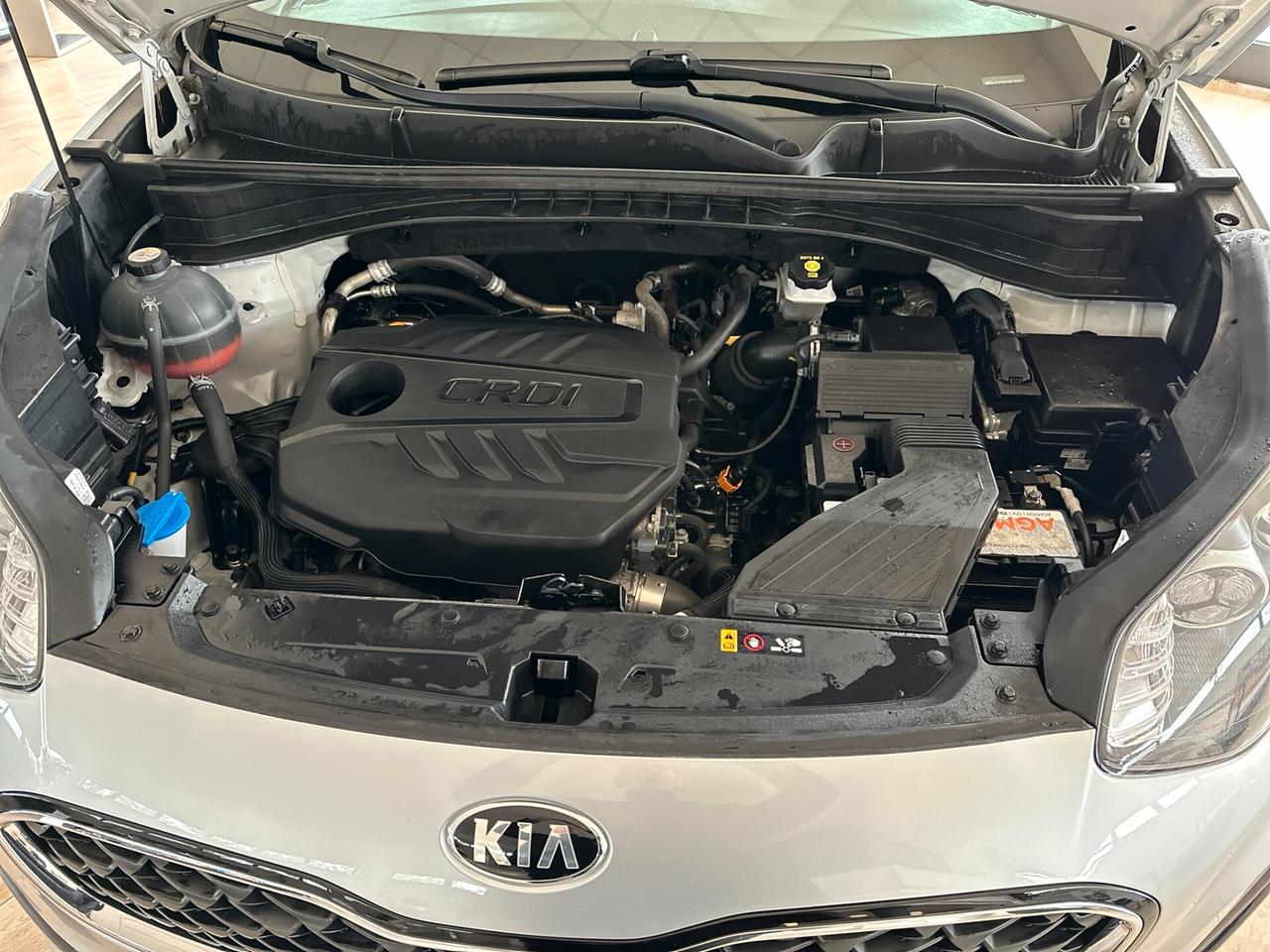 Kia Sportage 1.6 CRDI 136 CV 2WD Mild Hybrid Urban