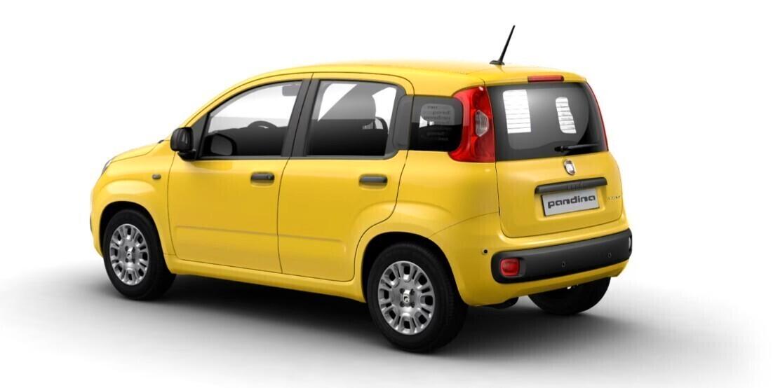 Fiat Panda 1.0 FireFly S&S Hybrid Pop - AUTO NUOVA - TARGA NEL MESE - PROMO EVMOTORS