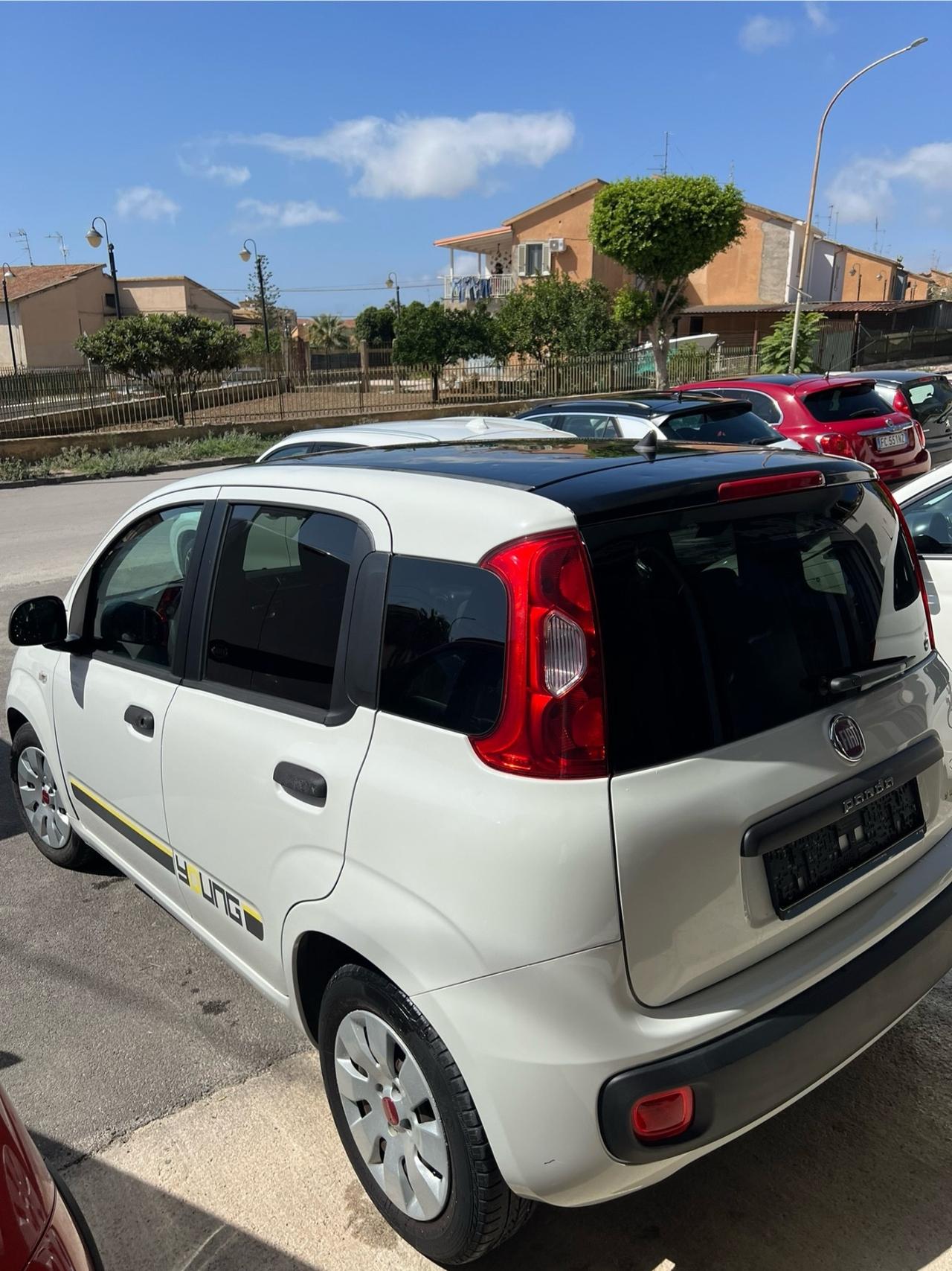 Fiat Panda 1.2 Young (Venduta)