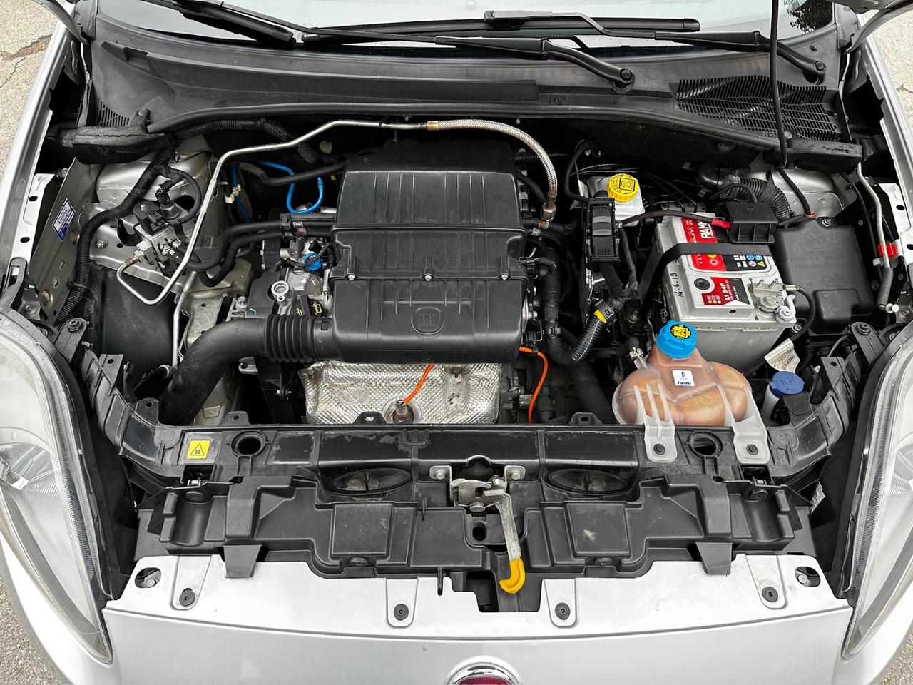 Fiat Punto 1.4 8V 5 porte Natural Power Lounge