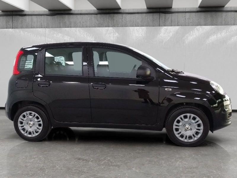 FIAT Pandina 1.0 firefly hybrid Icon s&s 70cv 5p.ti