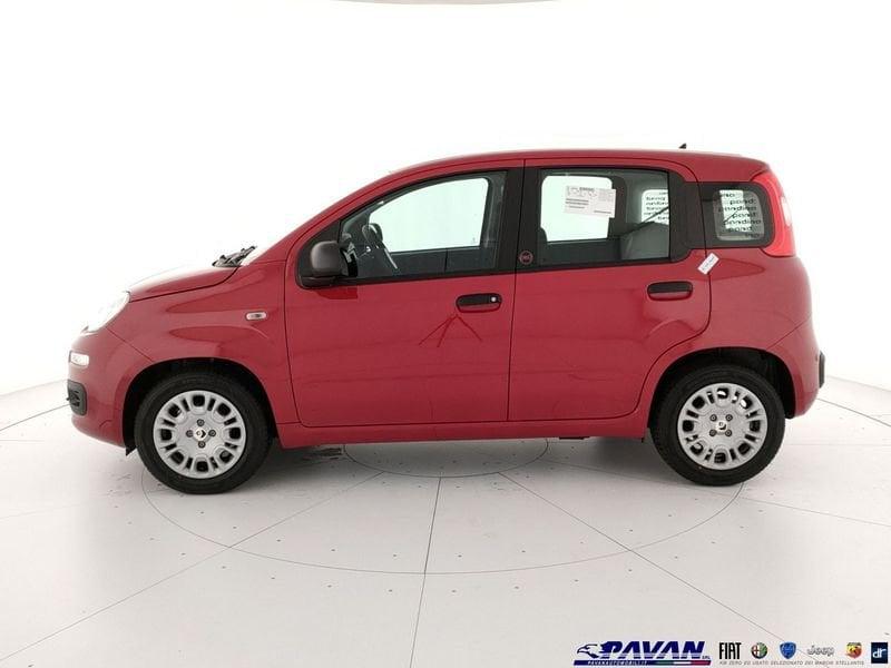 FIAT Pandina Panda 1.0 FireFly 65 CV Hybrid Pop