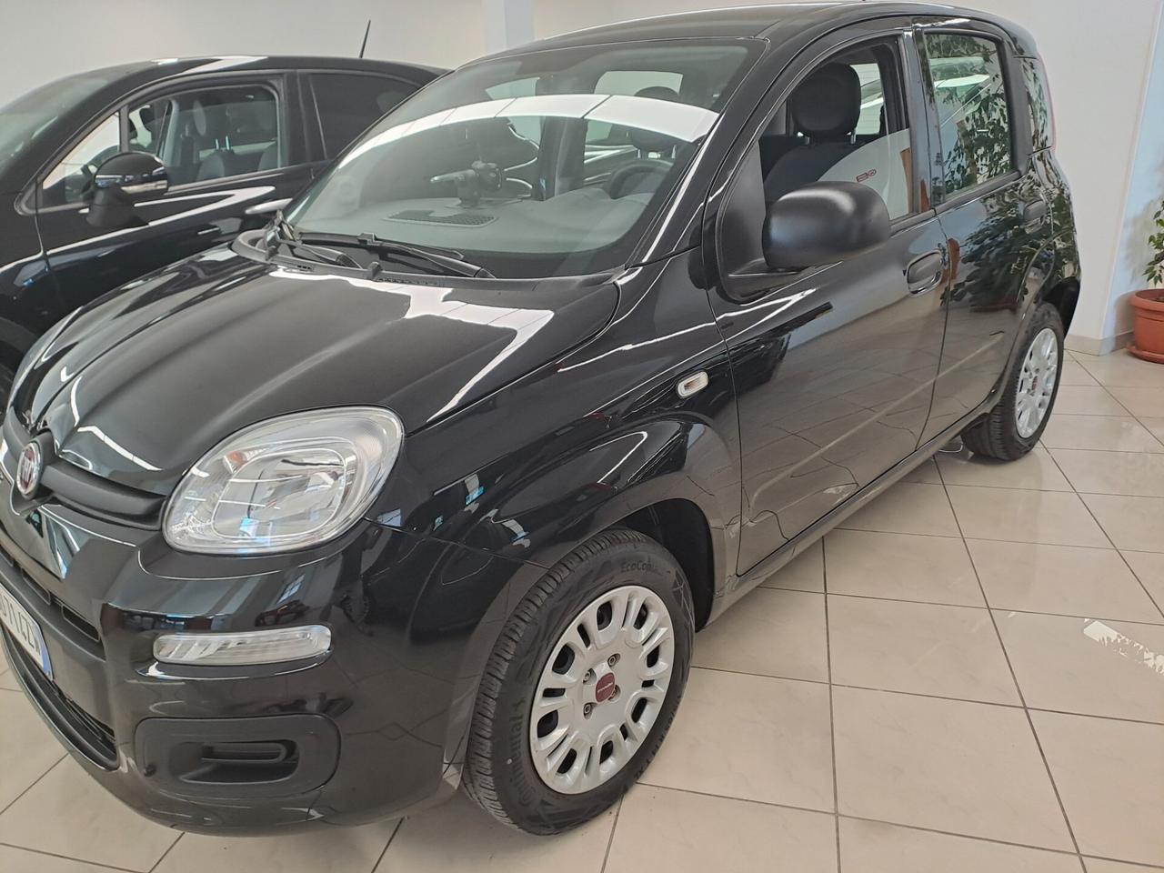 Fiat Panda 1.2 Easy