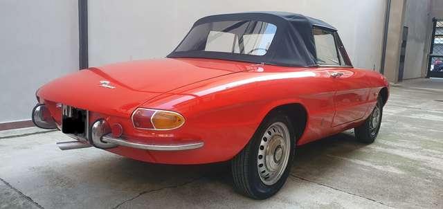 Alfa Romeo Spider 1.6 Duetto " osso di seppia " 1 ° serie