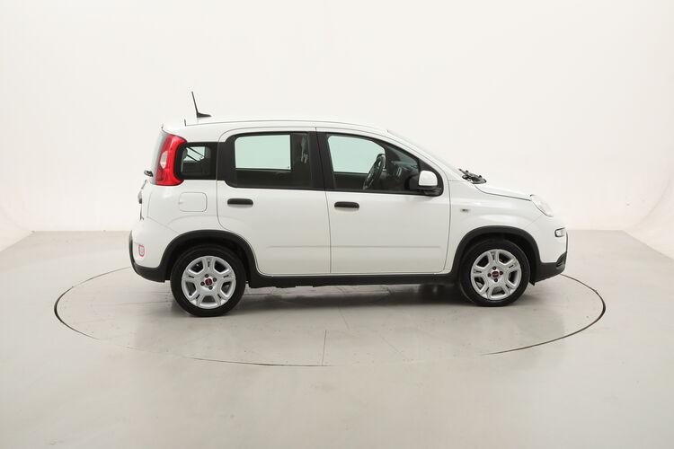 Fiat Panda Hybrid BR249275 1.0 Mild Hybrid 70CV