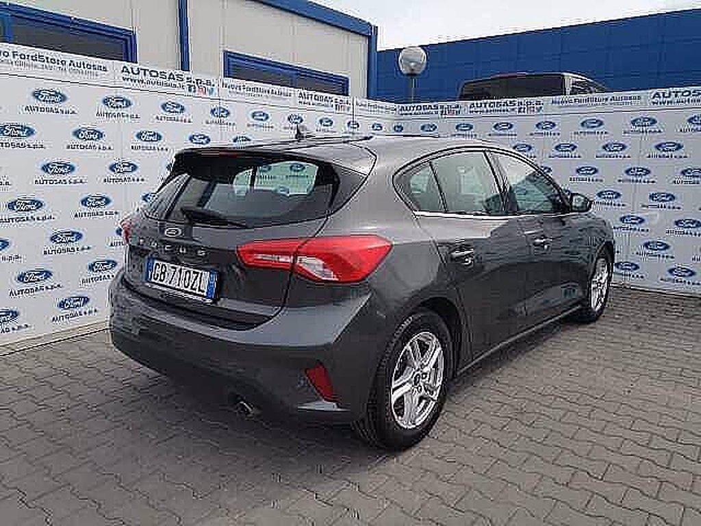 FORD Focus 1.5 EcoBlue 120 CV automatico 5p. Business Co-Pilot del 2020