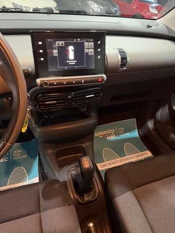 Citroen C4 Cactus Cactus Manuale Distribuzione ok