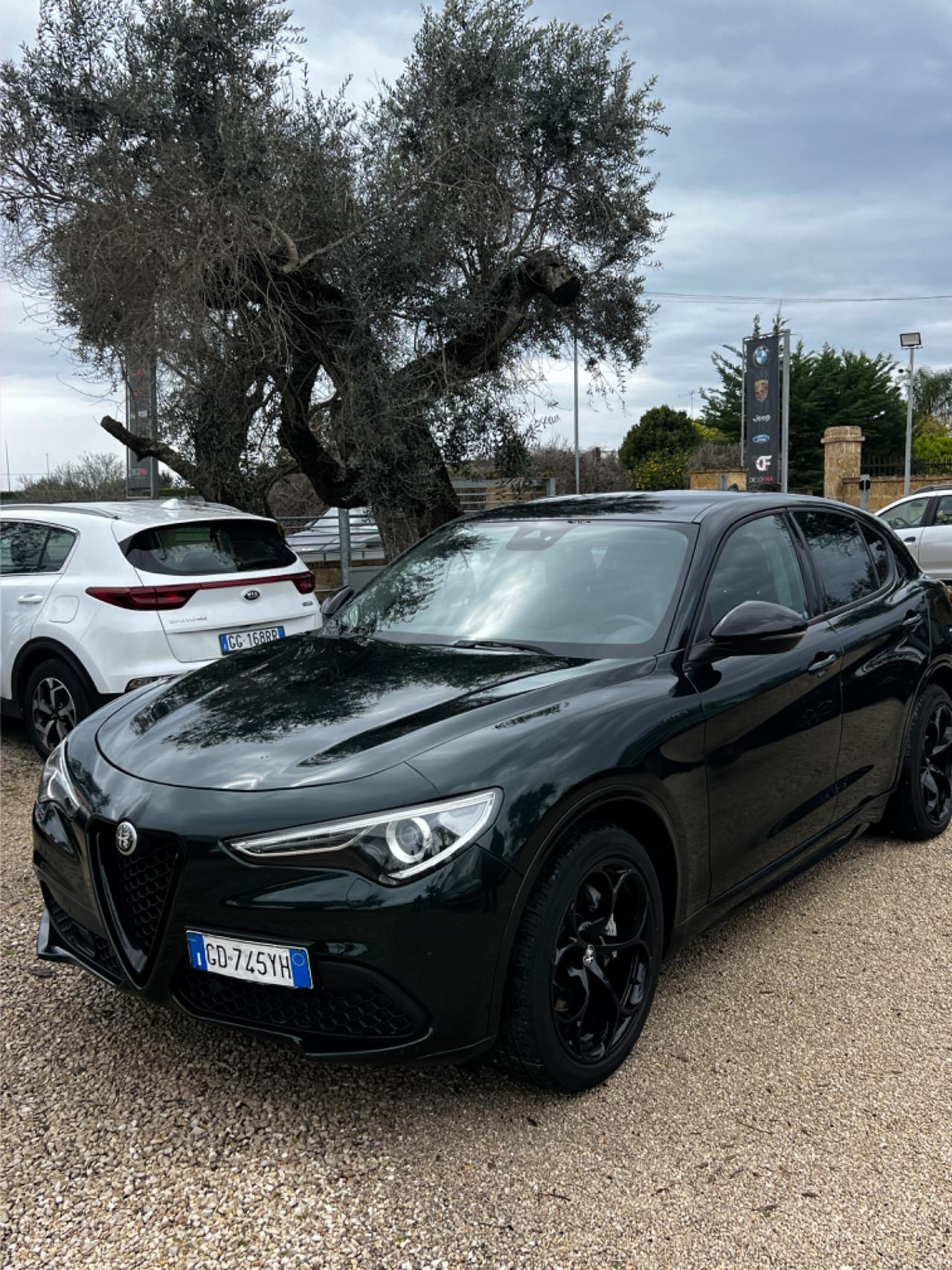 Alfa Romeo Stelvio 2.2 Turbodiesel 160 CV km 90000 ufficiali