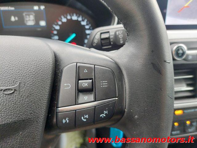 FORD Focus 1.5 EcoBlue 120 CV 5p. Business