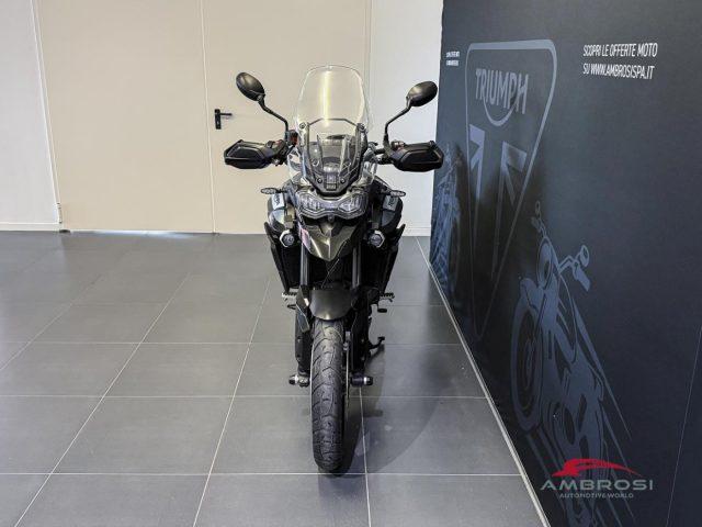TRIUMPH Tiger 900 GT Tiger Pro
