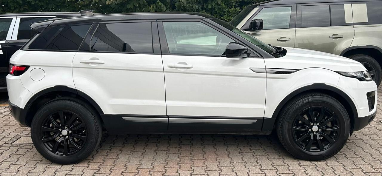 Land Rover Range Evoque 2.0 TD4 150 CV 5p. Pure
