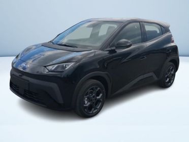 BYD Dolphin Surf Boost