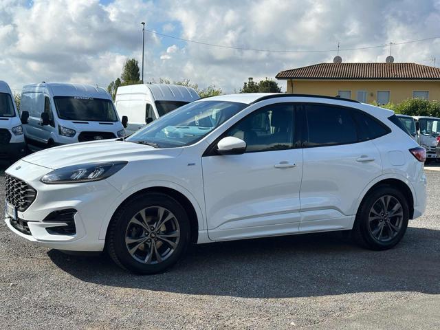 FORD Kuga 1.5 EcoBlue 120 CV aut. 2WD ST-Line X