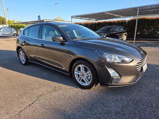 FORD Focus 1.5 EcoBlue 120 CV 5p. Business