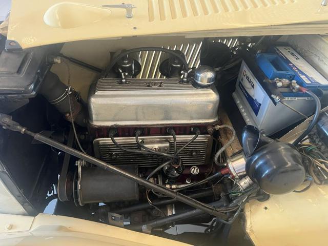 MG TD Midget 1250 MG Club ORO ASI-CRS