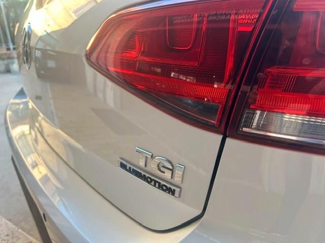 Volkswagen Golf Business 1.4 TGI 5p. Comfortline BlueMotion