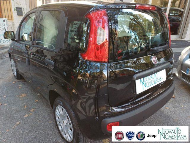 FIAT Panda Pandina 1.0 FireFly S&S Hybrid Pop Km0