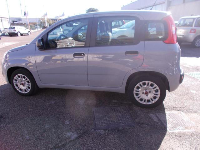 FIAT - Panda - 1.2 Easy