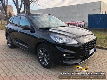 FORD Kuga 1.5 EcoBlue 120 CV aut. 2WD ST-Line